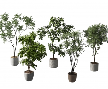 Modern Ground Green Plant Potted Plants-ID:710067998