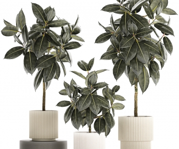 Modern Ground Green Plant Potted Plants-ID:848134995