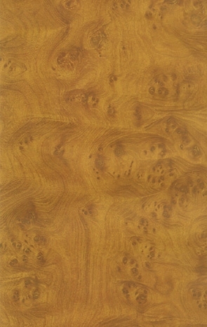 ModernWood Texture