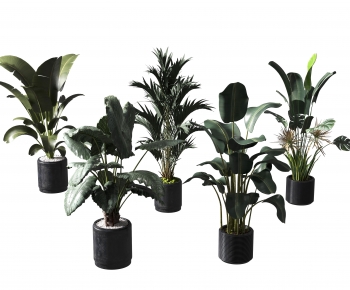 Modern Ground Green Plant Potted Plants-ID:160810958