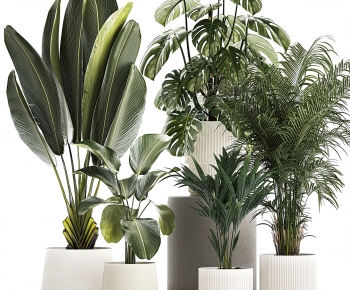 Modern Ground Green Plant Potted Plants-ID:778603081