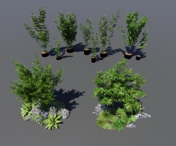 Modern Plant Landscaping-ID:579881918