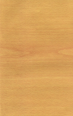 ModernWood Texture