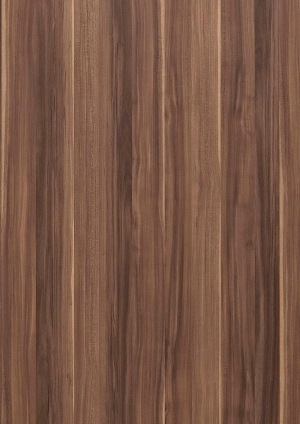 ModernWood Texture