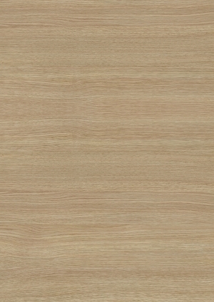 ModernWood Texture