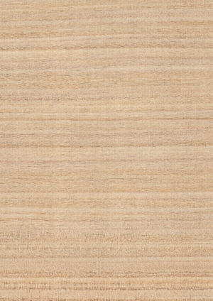 ModernWood Texture