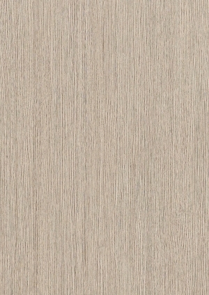 ModernWood Texture