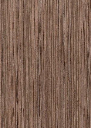 ModernWood Texture