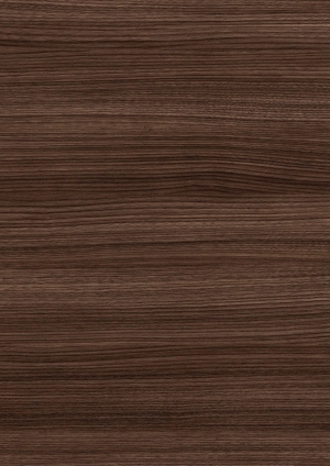 ModernWood Texture