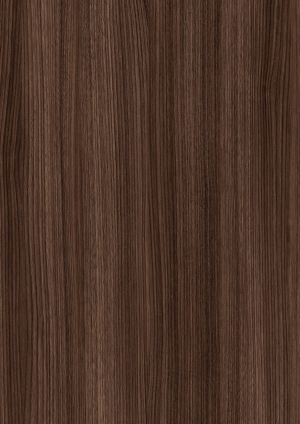 ModernWood Texture