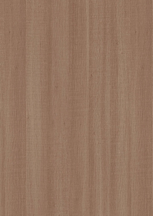 ModernWood Texture