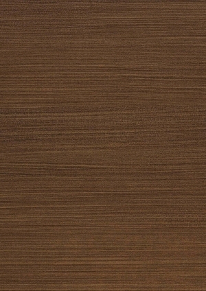 ModernWood Texture