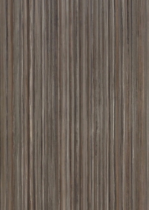 ModernWood Texture