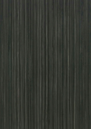 ModernWood Texture