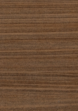 ModernWood Texture