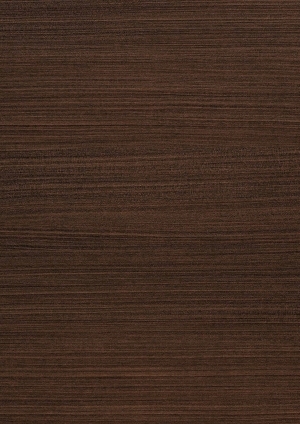 ModernWood Texture