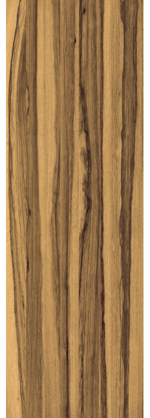 ModernWood Texture