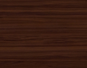 ModernWood Texture