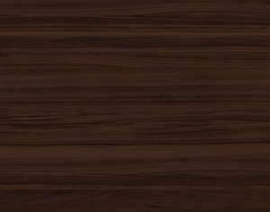 ModernWood Texture