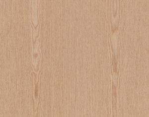 ModernWood Texture