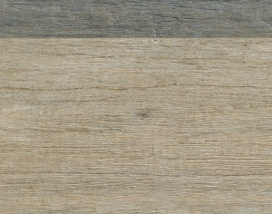 ModernWood Texture