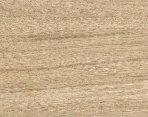 ModernWood Texture