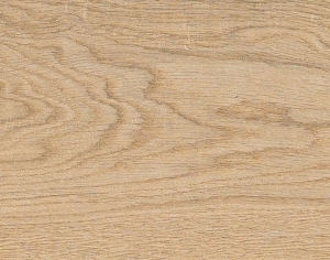 ModernWood Texture