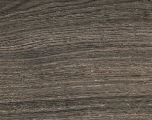 ModernWood Texture