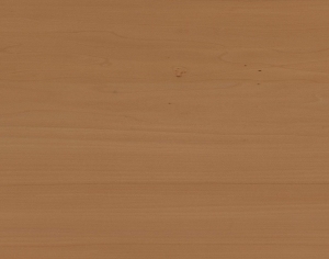 ModernWood Texture