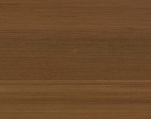 ModernWood Texture