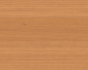 ModernWood Texture