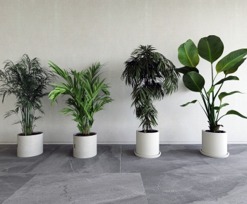 Modern Ground Green Plant Potted Plants-ID:284770018