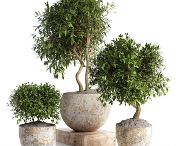 Modern Ground Green Plant Potted Plants-ID:927313096