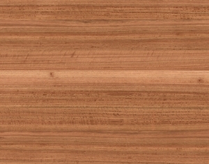 ModernWood Texture