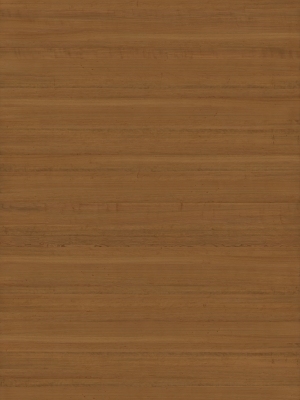 ModernWood Texture