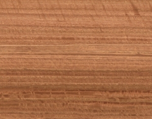 ModernWood Texture