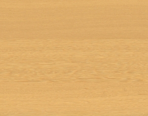 ModernWood Texture