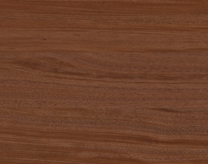 ModernWood Texture