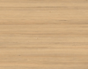 ModernWood Texture