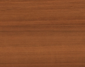 ModernWood Texture