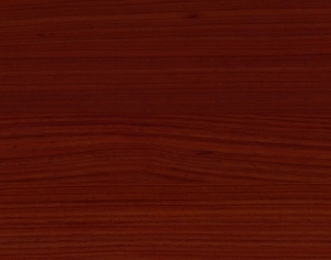 ModernWood Texture