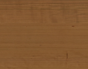 ModernWood Texture