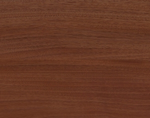 ModernWood Texture