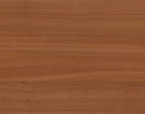 ModernWood Texture