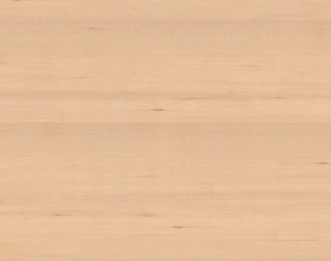 ModernWood Texture