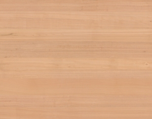 ModernWood Texture