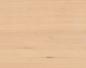 ModernWood Texture