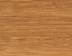 ModernWood Texture