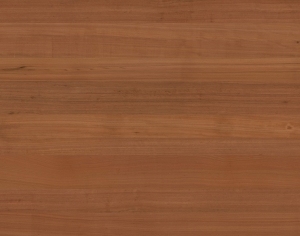 ModernWood Texture