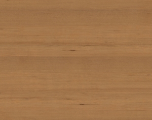 ModernWood Texture